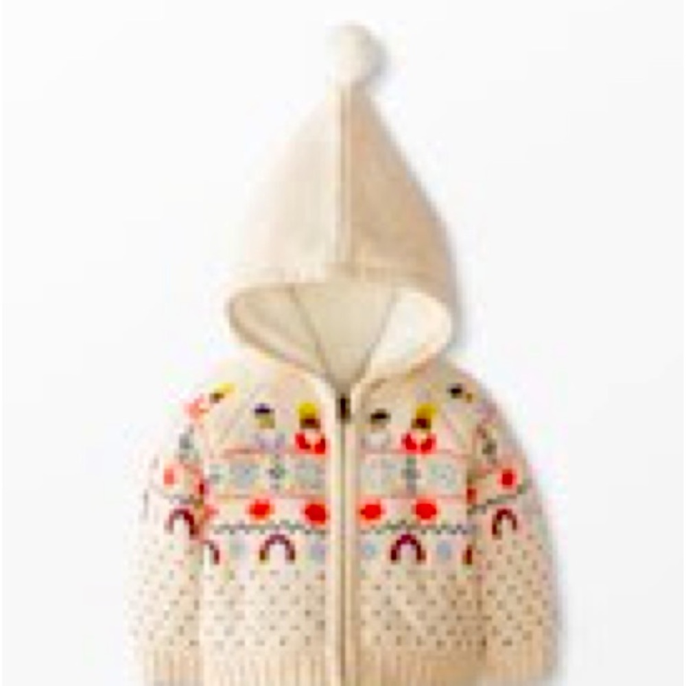 Baby Gnome Hoodie Sweater Jacket